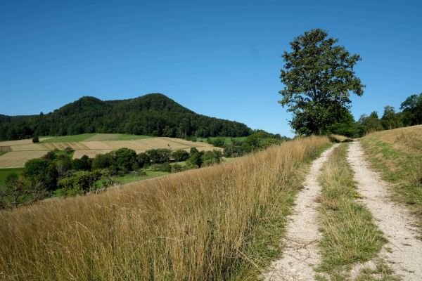 farrenberg weg