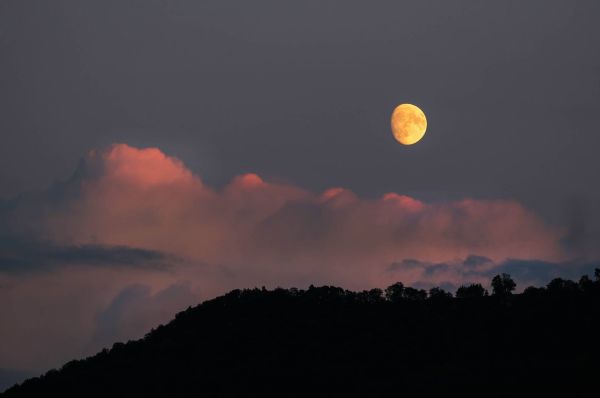 Mond Farrenberg