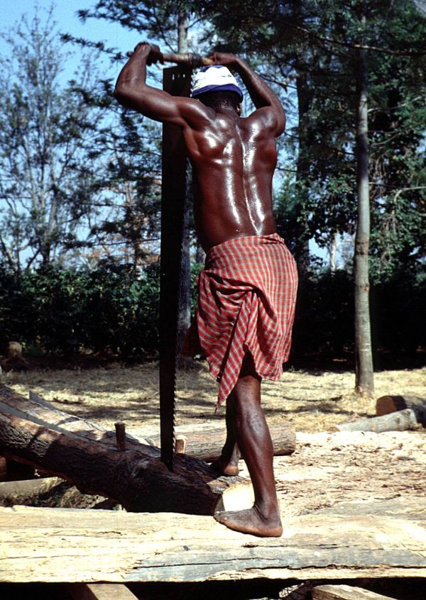 Tanzania Säge