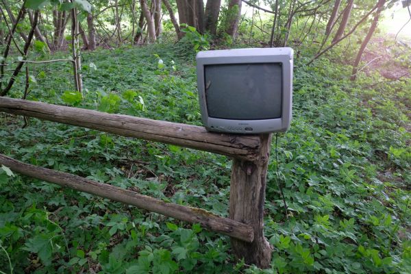 Natur Bild