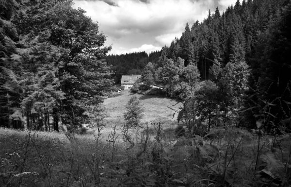 Artwood Schwarzwald Bild Schwarzwaldhof