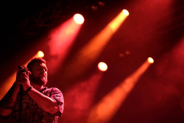 The Gardener and the Tree Lichter