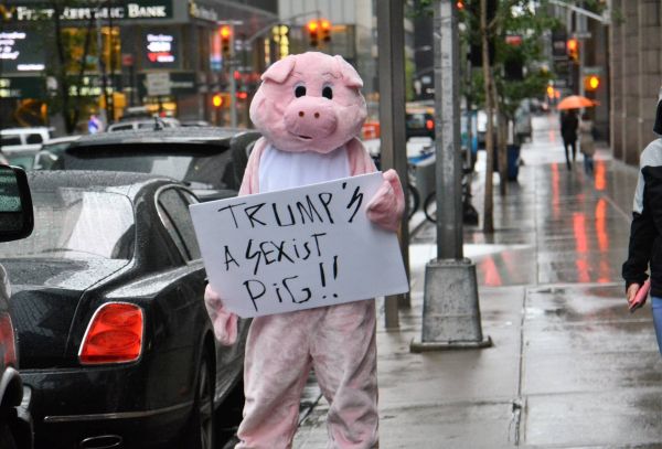 New York Strasse Street Trump Pig