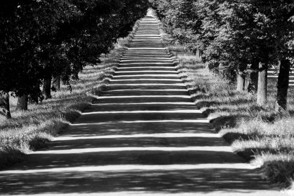 Einsiedel Allee Schatten