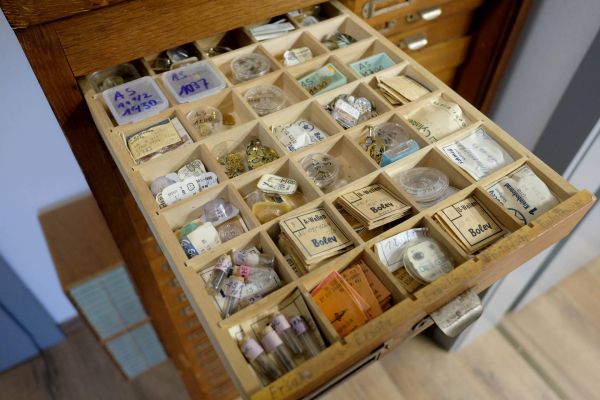 Jonas Häring Uhrmacher Ersatzteile Schrank